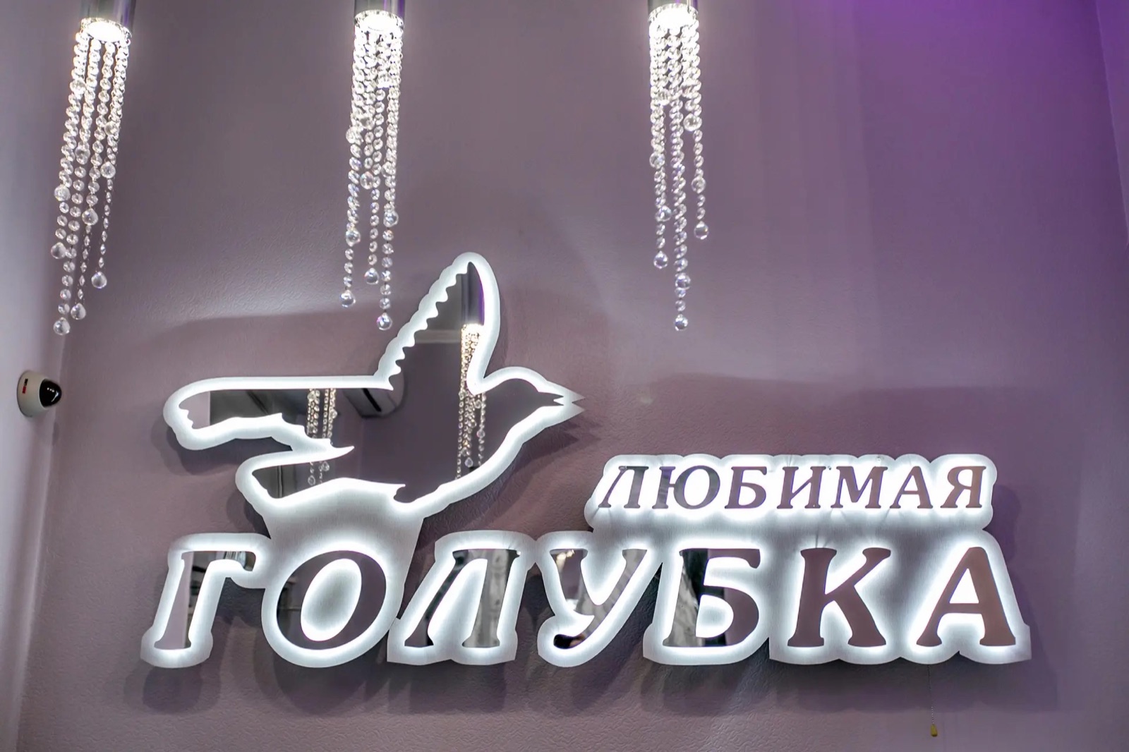 Светящаяся вывеска «Любимая Голубка» в салоне на Беломорской, 6
